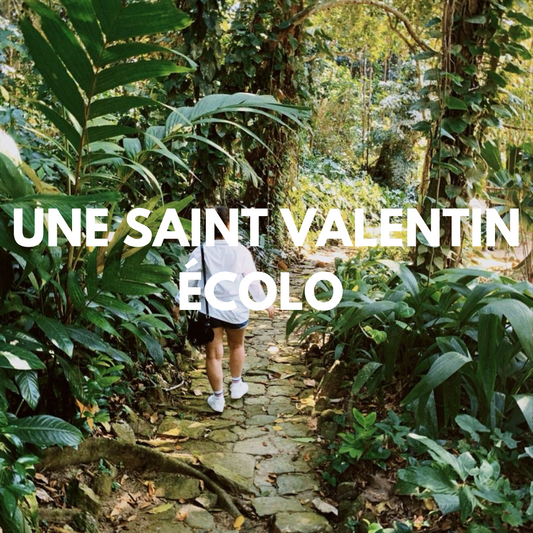 Une St Valentin écolo !