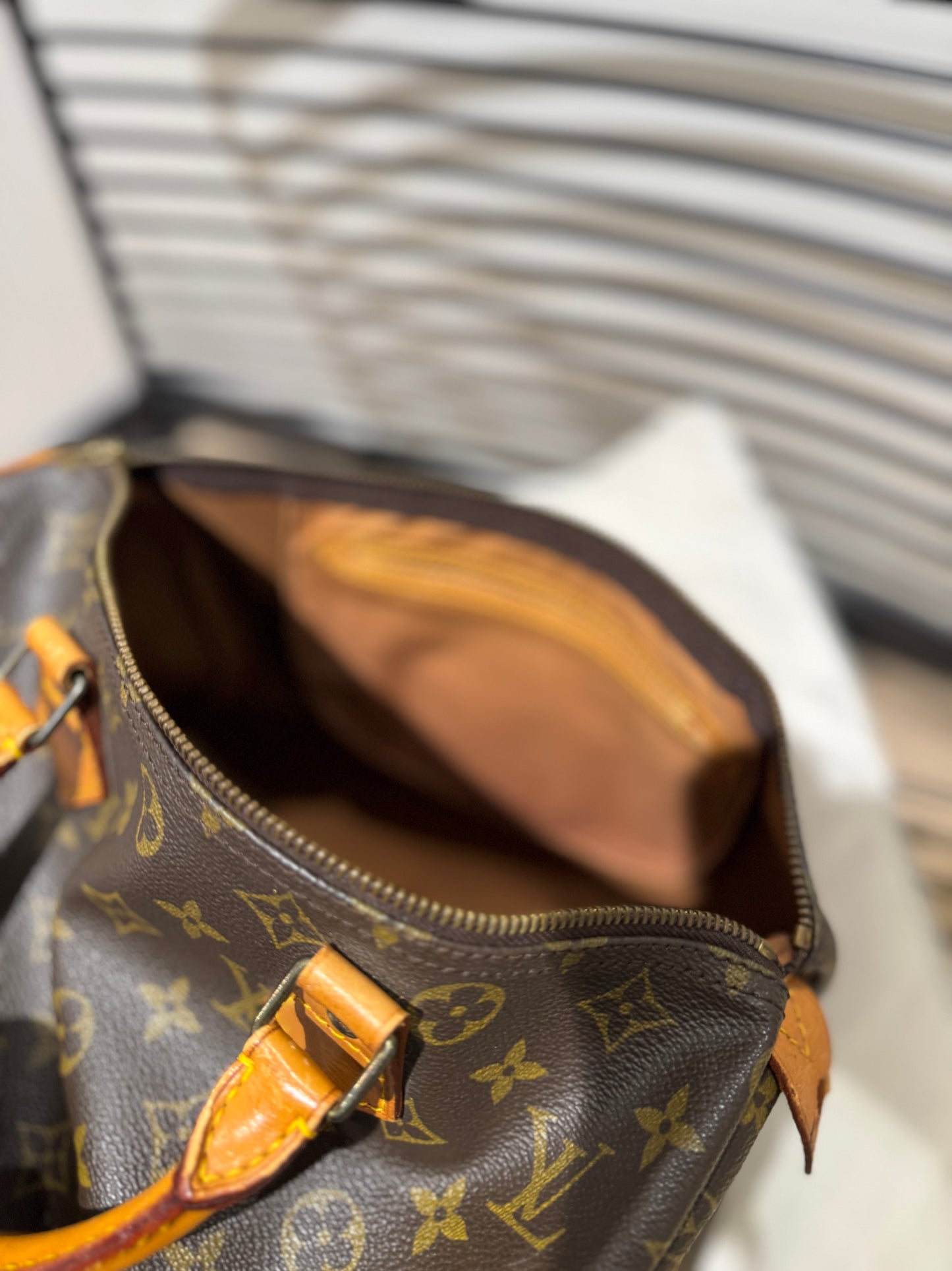 Sac Speedy 30 Louis Vuitton